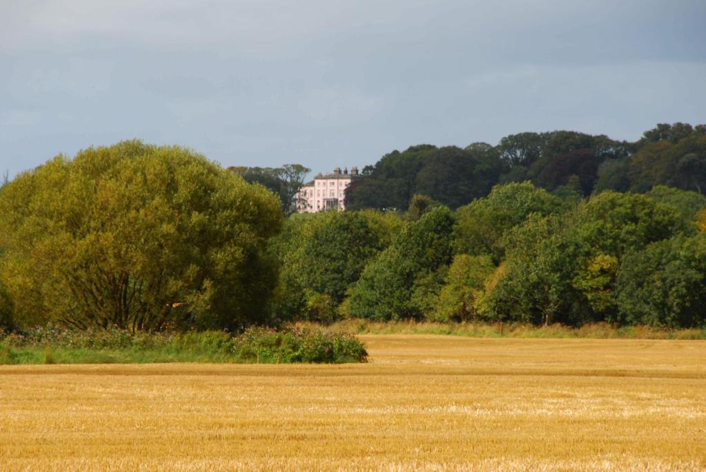 Longueville House Mallow Exterior photo
